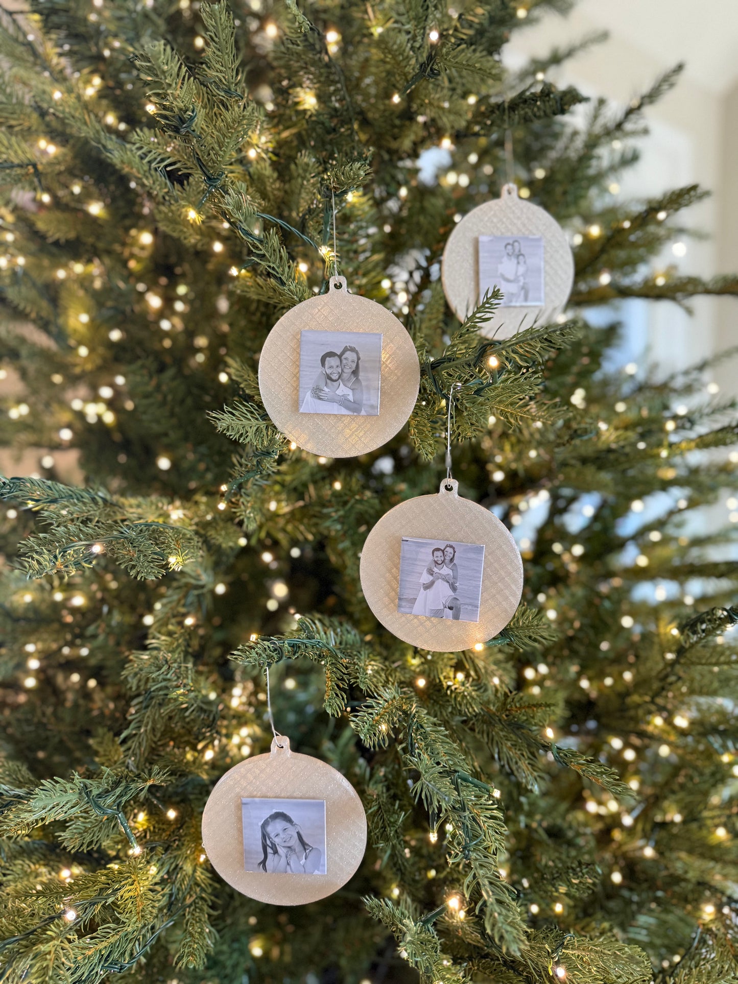 Universal Ornament File