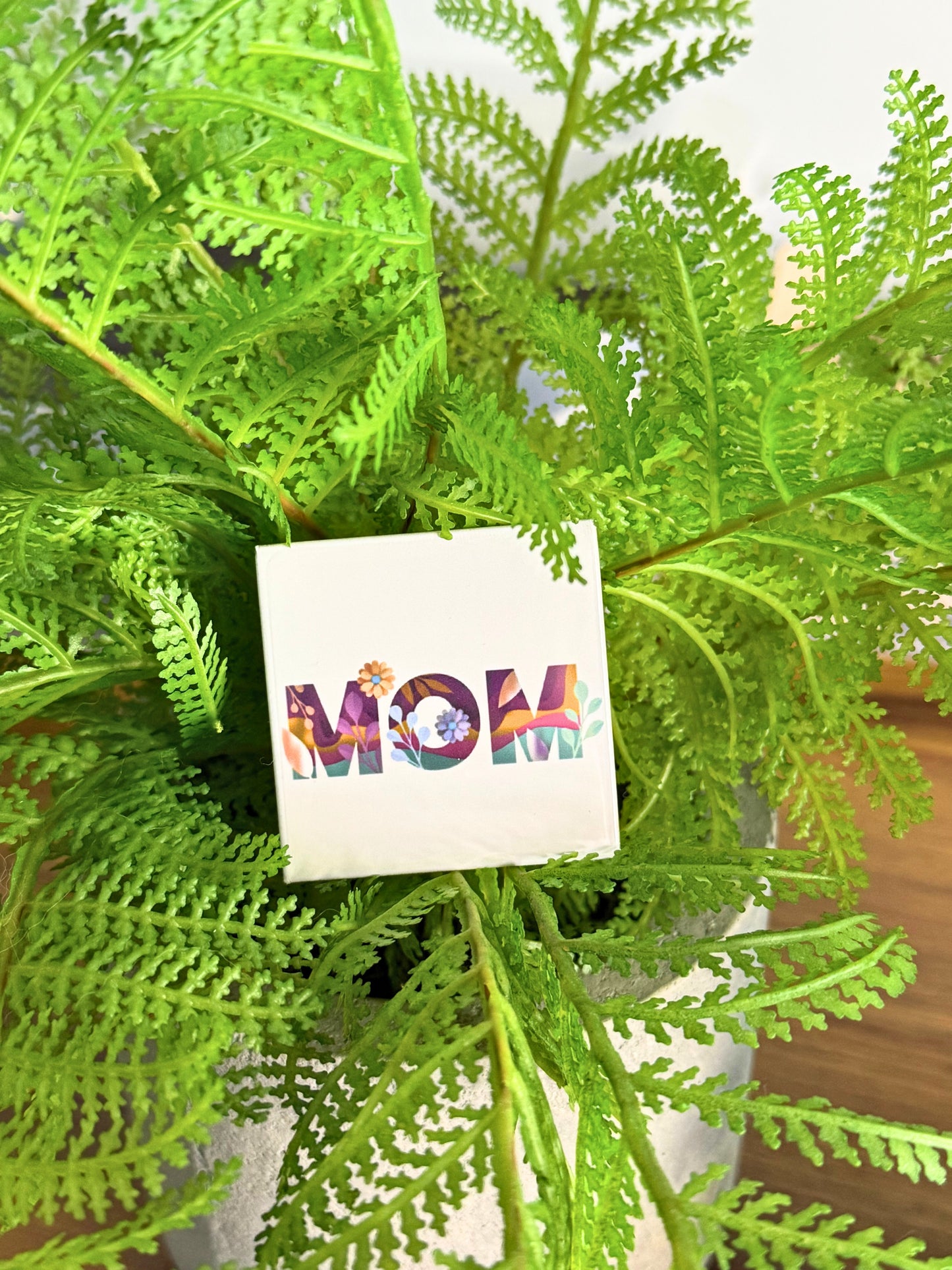 Frame & Magnet Bundle